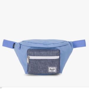 Blue and Gray Waist Pack